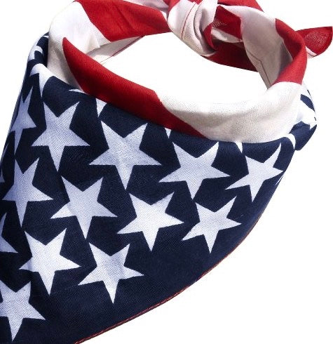 Washington D.C. Flag Headband