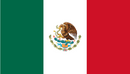 Mexican- Flag- Mexico- Bandera-Mexicana-Cinco-De-Mayo-Polish-Vibes-Gift-Gallery