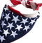 PATRIOTIC-US-FLAG-BANDANA-FLAGA-AMERICAN-USA-UNITED-STATES-POLISH-VIBES-GIFT-GALLER