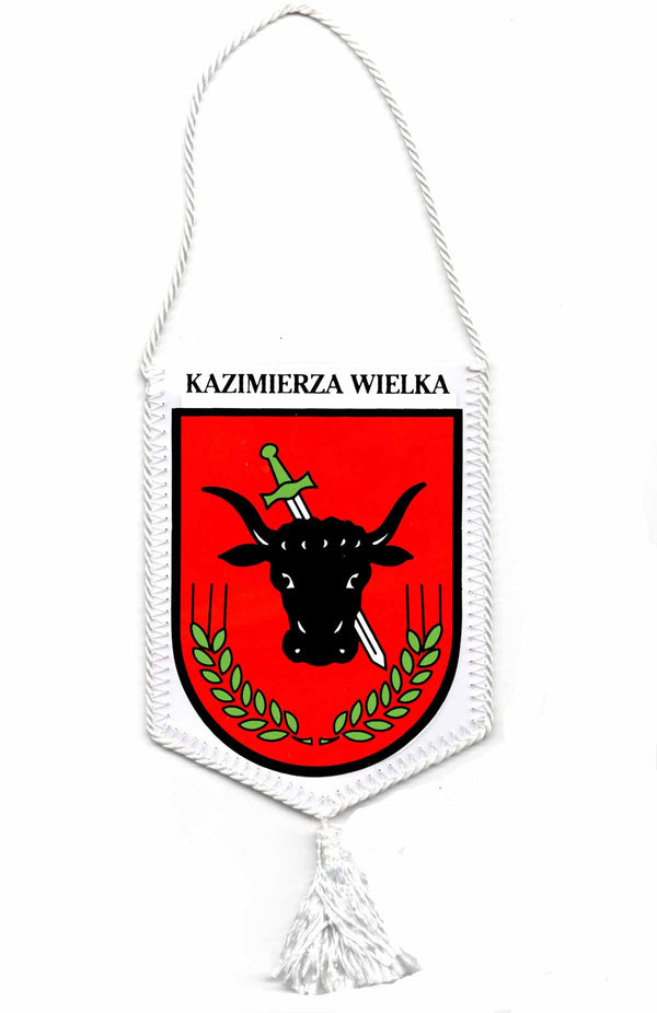 kazimierza-wielka-pennant-city-car-polish-vibes-gift-gallery-polska-chicago.jpg