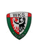 slask-wroclaw-sticker-polish-vibes-gift-gallery